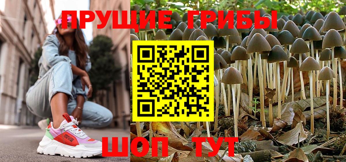 Псилоцибиновые грибы Magic Shrooms Шебекино