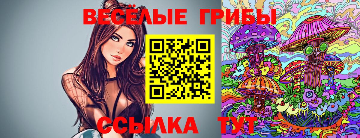 Шебекино  Псилоцибиновые грибы прущие грибы  Вход с VPN 